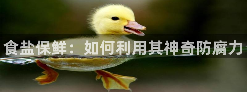 威九国际app网站官网