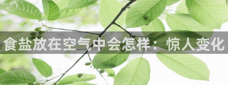78.m威九国际官网版