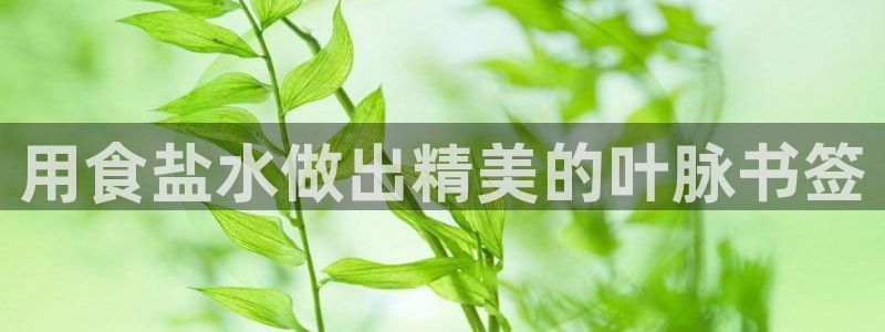 威九国际网站进入公司不断创新