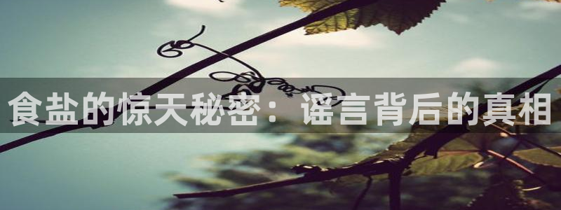 威九国际网站在哪里