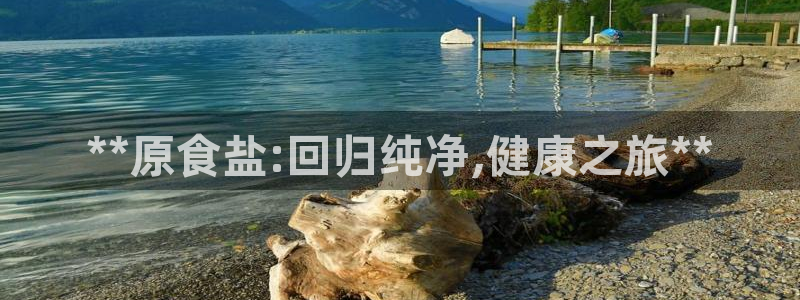 威九国际免费ppt网址