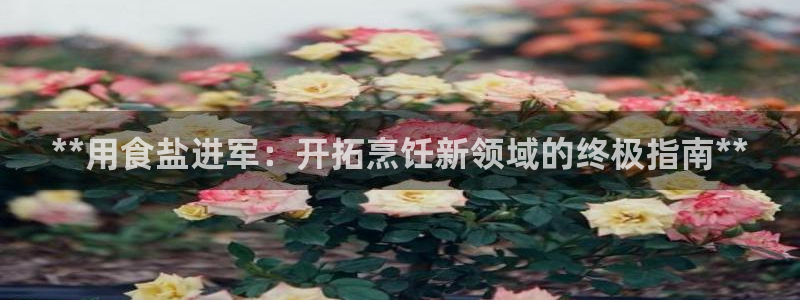 威九国际网站经常打不开网页