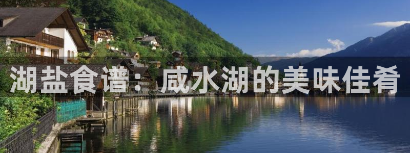 66m威九国际精选