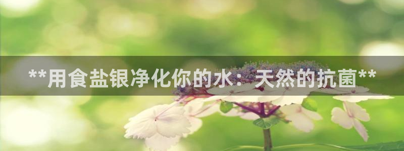 威九国际精彩推荐怎么样