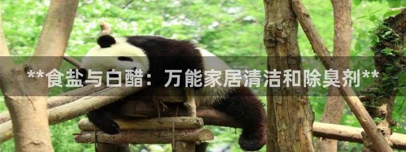 威九国际app入口官网