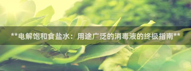 威九国际旗下艺人
