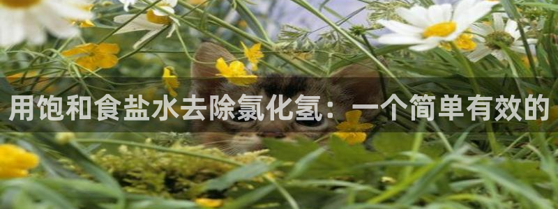 威九国际安全吗的认证团队