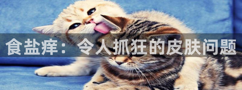 威九国际网站经常打不开网页