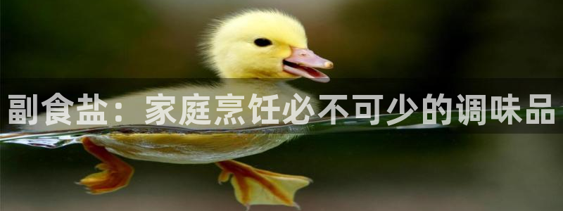 威九国际ppt免费下载