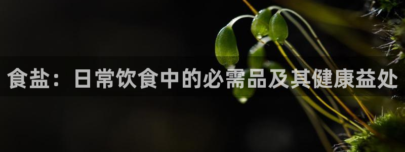 威九国际人民网