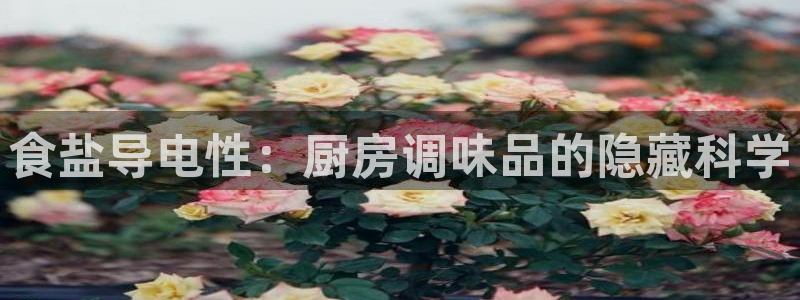 威九国际官网登录入口网站