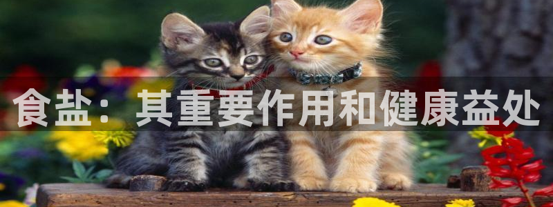 威九国际app无法登陆怎么回事