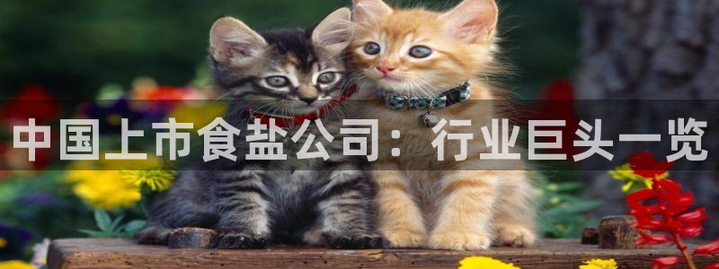78mapp威九国际官网