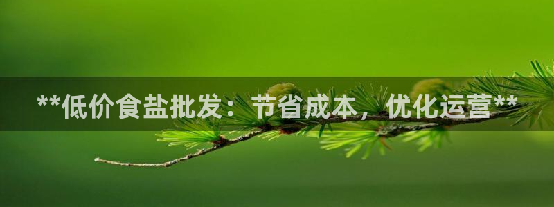 威九国际网站怎么样知乎