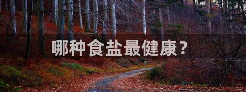 威九国际