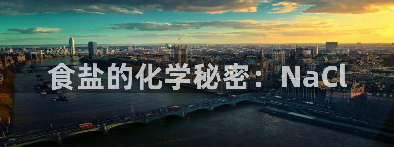 威九国际官方入口官网