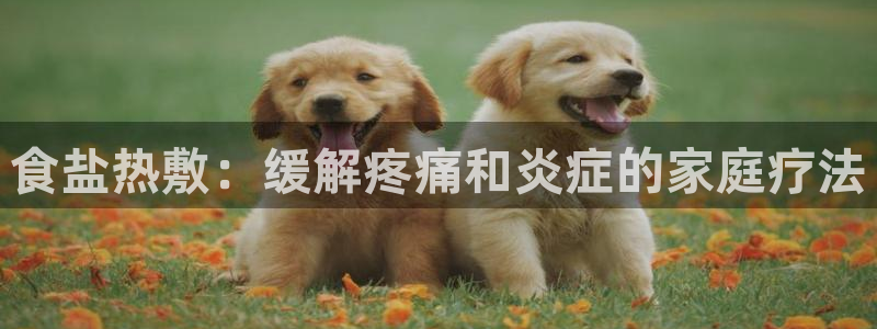 威九国际人民网