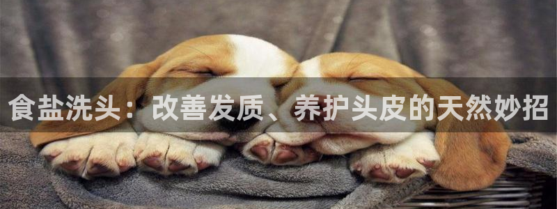 威九国际v96bet官网版