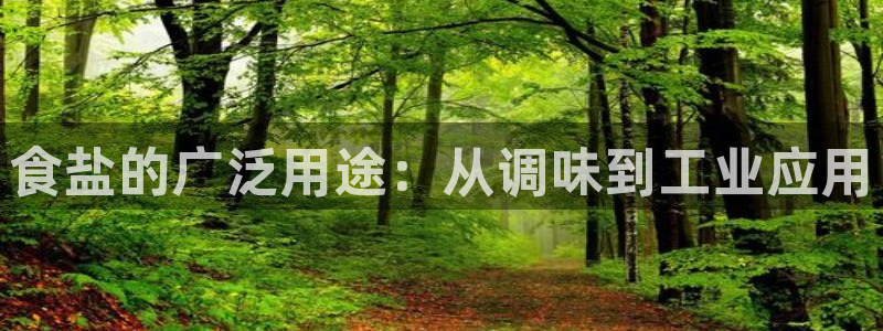 威九国际的网站入口在哪里