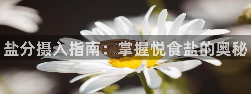 威九国际能提现吗