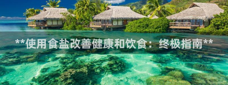 威九国际H