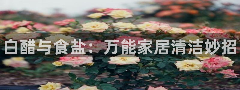 威九国际高清