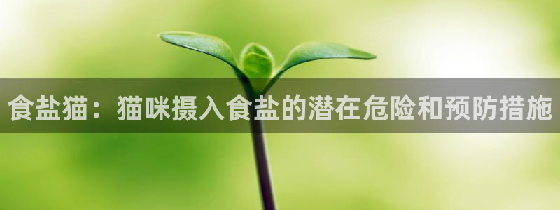 威九国际犯法吗