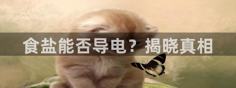 威九国际官方下载