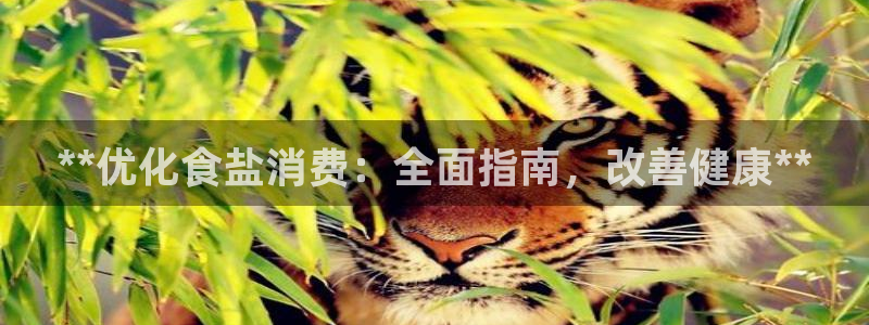 威九国际国精彩片段