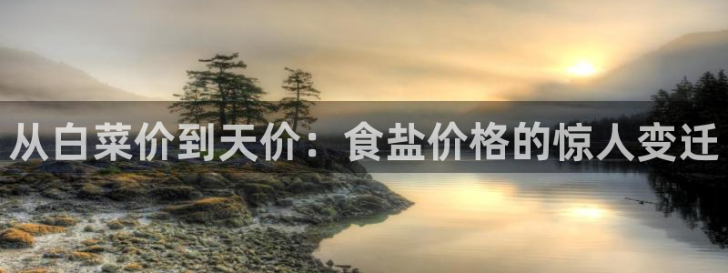 威九国际女孩