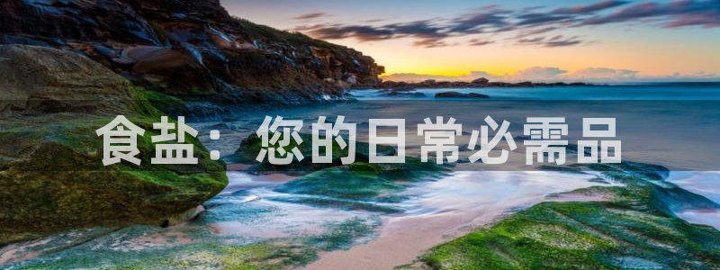 威九国际top
