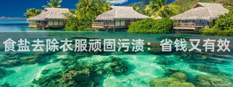威九国际理论片最经典十首歌曲