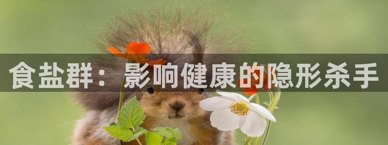 威九国际下载官网app