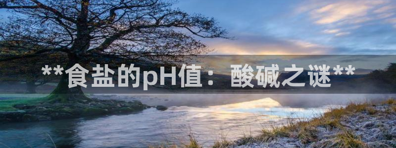 威九国际app