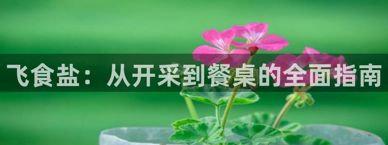 威九国际FF
