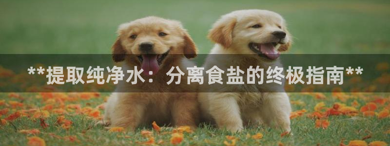 威九国际ppt免费下载网址
