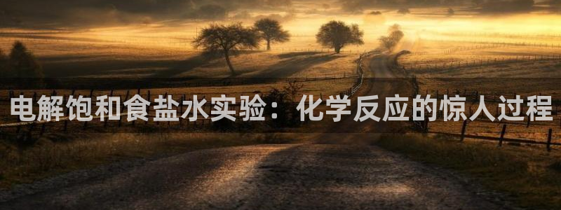 威九国际网站入囗