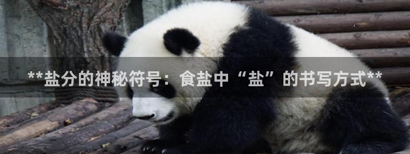 威九国际ppt免费