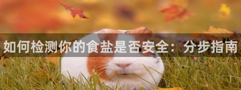 威九国际78mb下