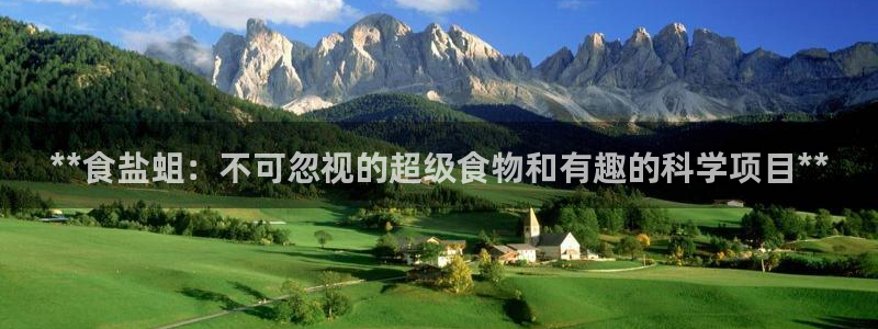 威九国际78m域名