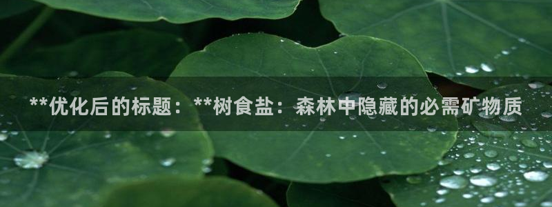 78mapp威九国际一
