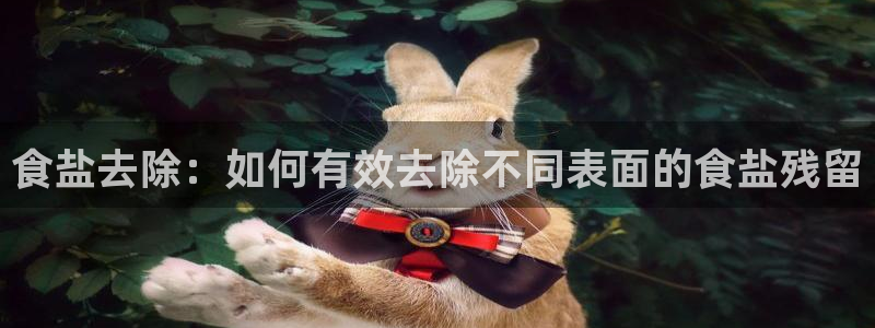 威九国际摩托电影HD
