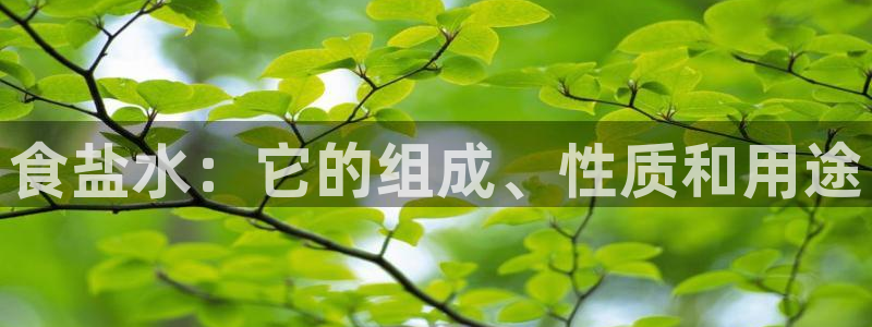 威九国际电子有限公司