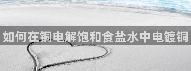 威九国际的演员