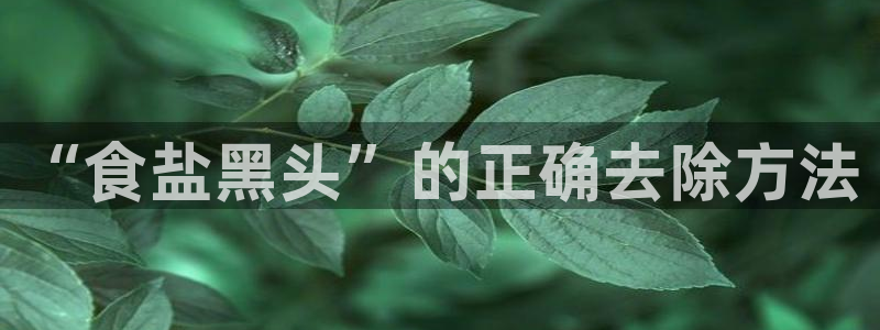 威九国际电视怎么样