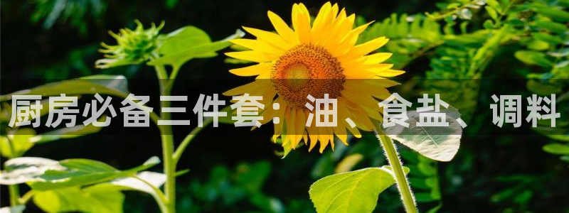 威九国际视频传媒招聘