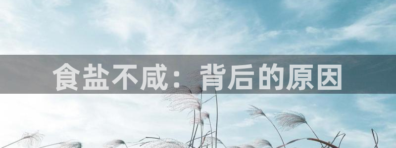 威九国际网站传媒招聘