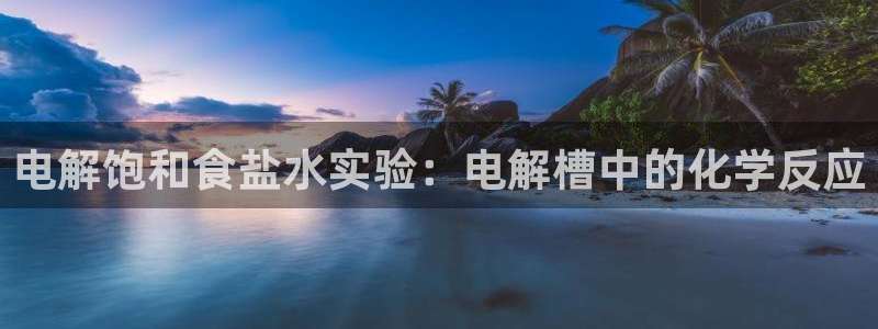 威九国际网站入口官网首页下载