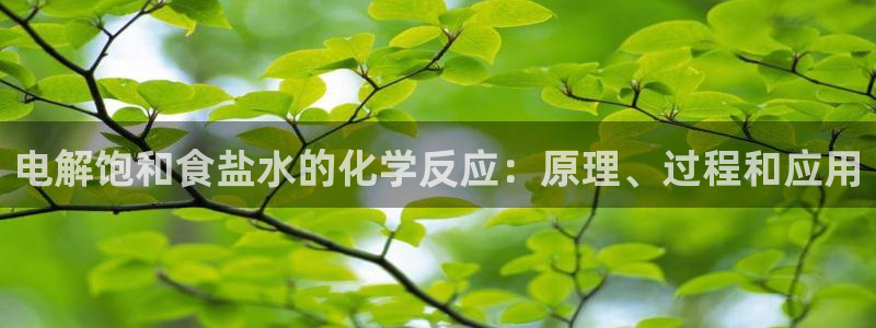 威九国际78mb官网