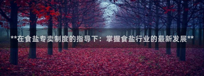 威九国际地址